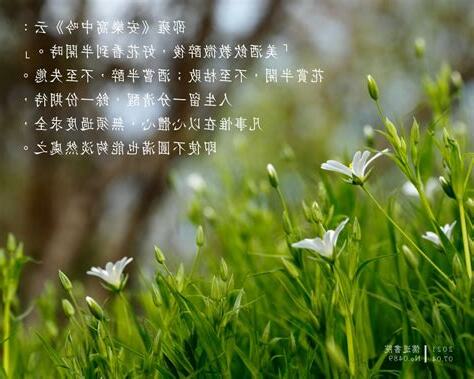 美酒飲教微醉後 好花看到半開時